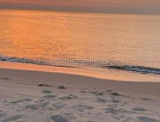 Ищу работу 19 лет