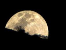 Ищу работу 19 лет