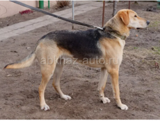 Линия хорошая