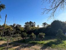 Обмен на квартиры 