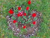 Масла отработка 1 тона 