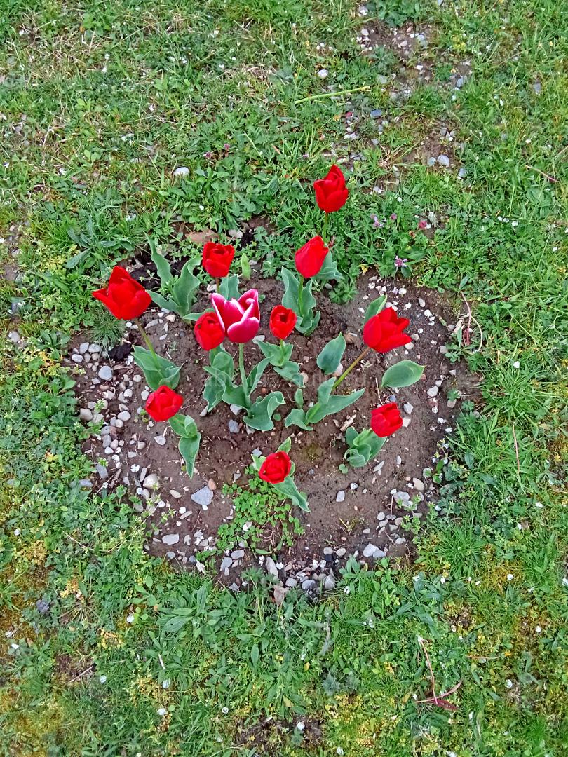 Масла отработка 1 тона 