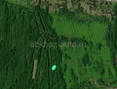 На беригу в гурпшах 6 сотых