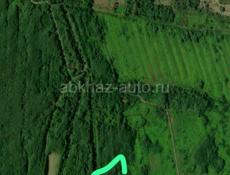 На беригу в гурпшах 6 сотых