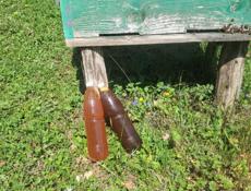 Продаем натуральный домашний мёд прямо с пасеки 🍯