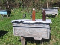 Продаем натуральный домашний мёд прямо с пасеки 🍯