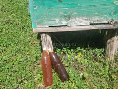 Продаем натуральный домашний мёд прямо с пасеки 🍯