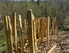 Готовые колышки 