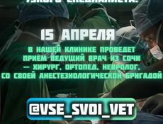 Ветеринарная клиника