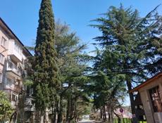 Сдам квартиру 3-х комн. На берегу моря Лидзава Рыбзаводская