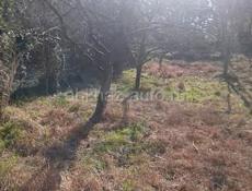 Продам документами есть вода свет в 10 метрах от участка