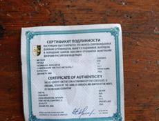 Монета Апсар