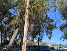 Кындыг у Источника ! 