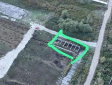 С документами!