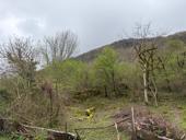 Участок 25 соток