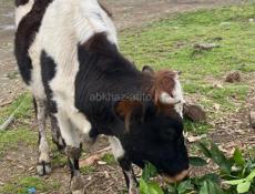 Всё месте 90 т