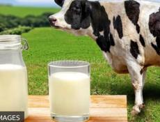 Яйца на Пасху,домашнее молоко 