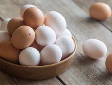 Яйца на Пасху,домашнее молоко 