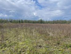 20 соток земли, в районе аэропорта