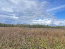 20 соток земли, в районе аэропорта