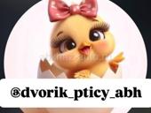 ЦЫПЛЯТА 7 ДНЕЙ