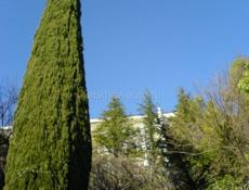 Гагра центр дом