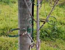 Цыплятники. Листы профнастила на крышу впридачу.