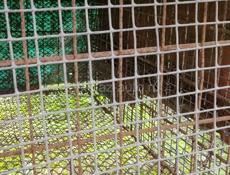 Цыплятники. Листы профнастила на крышу впридачу.