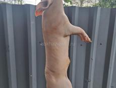 Чищеные поросята 