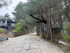 Сдается в аренду торговый павильон 