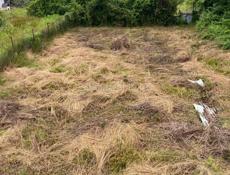 Продажа дом с земельным участком