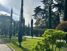 Сниму комнату или студию на длительный срок 