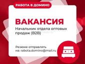 Начальник отдела оптовых продаж 