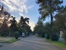 Ищу работу ночным администратором 