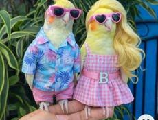 Ищу интересную работу 