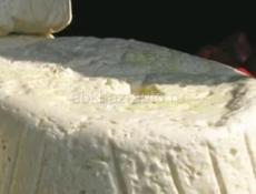 Сыр первый домашний для хачапури