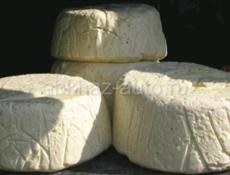 Сыр первый домашний для хачапури