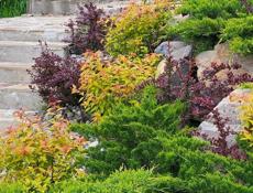 Озеленение. Ландшафтный дизайн. Гарантия