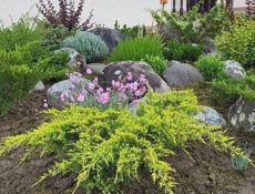 Озеленение. Ландшафтный дизайн. Гарантия