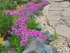 Озеленение. Ландшафтный дизайн. Гарантия