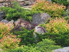 Озеленение. Ландшафтный дизайн. Гарантия