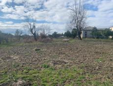 50 сотых земли с домом аэропорт 