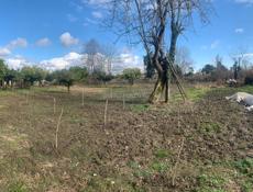 50 сотых земли с домом аэропорт 