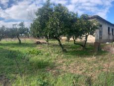 50 сотых земли с домом аэропорт 