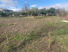 50 сотых земли с домом аэропорт 