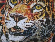 Продам или обменяю