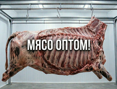 Мясо халяльное  оптом , цельными частями, по 650р/кг