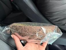 Пасхальные гнезда