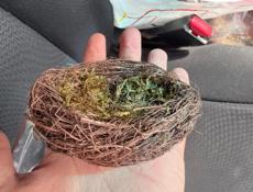 Пасхальные гнезда