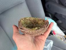 Пасхальные гнезда